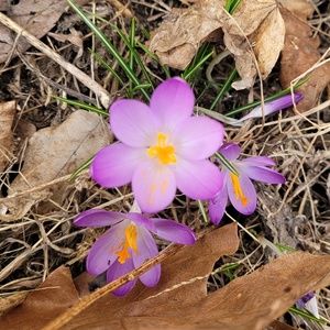 Meet your Posher, Nikki